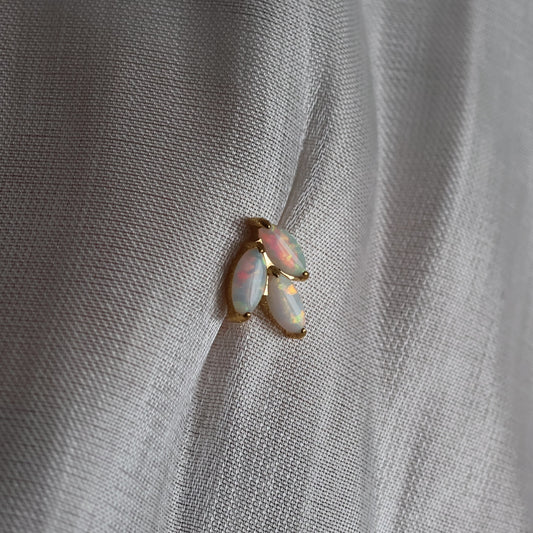 Piercing Velis